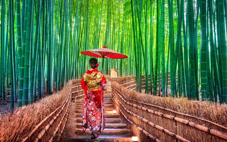 Icons of Japan Escorted Tour