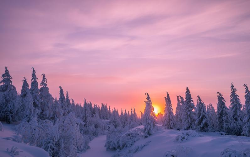 Lapland: Enchanting Day Trip