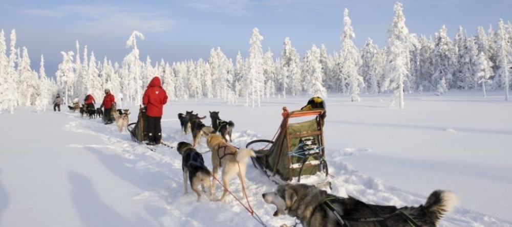 Finnish Lapland: A Magical Winter Wonderland