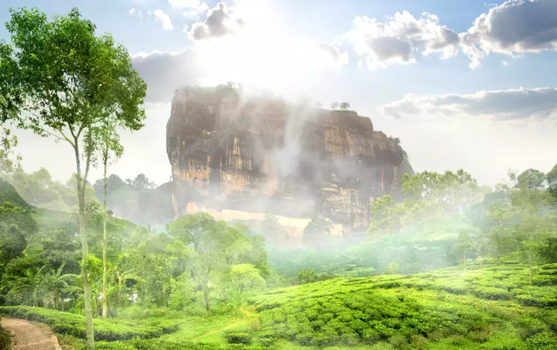 Highlights of Sri Lanka