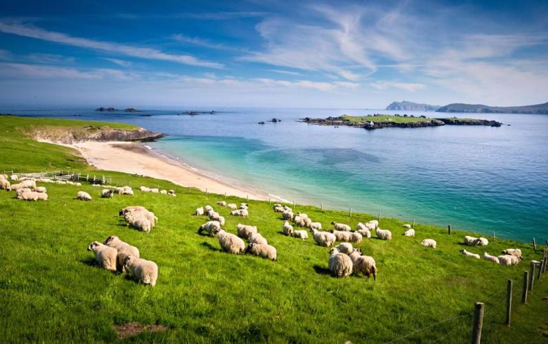 Irelands Beautiful South Coast