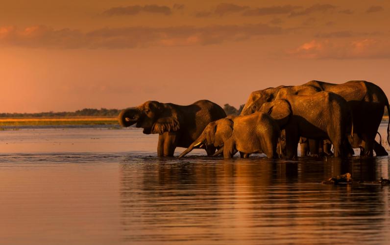 Kruger National Park All Inclusive Safari 2023