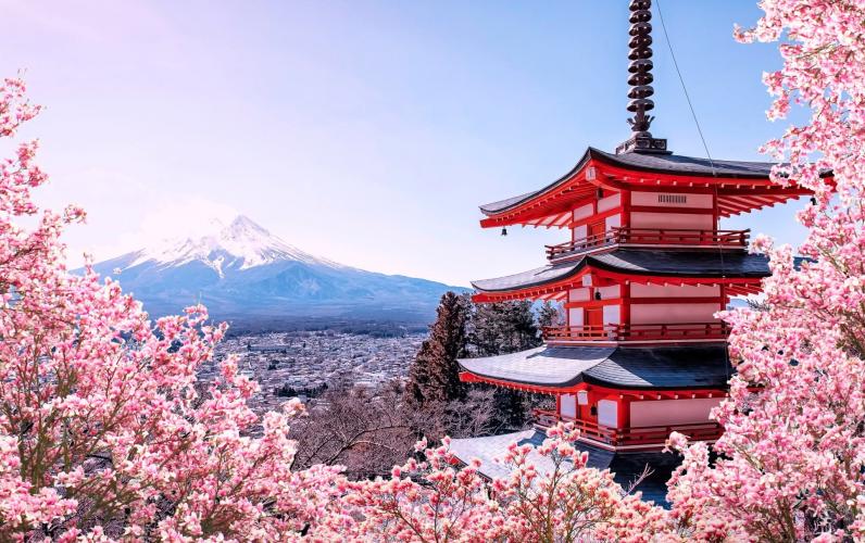 17-Night Tokyo, Japan & Korea Cruise & Stay aboard Celebrity Solstice &ndash; from &pound;3,615pp