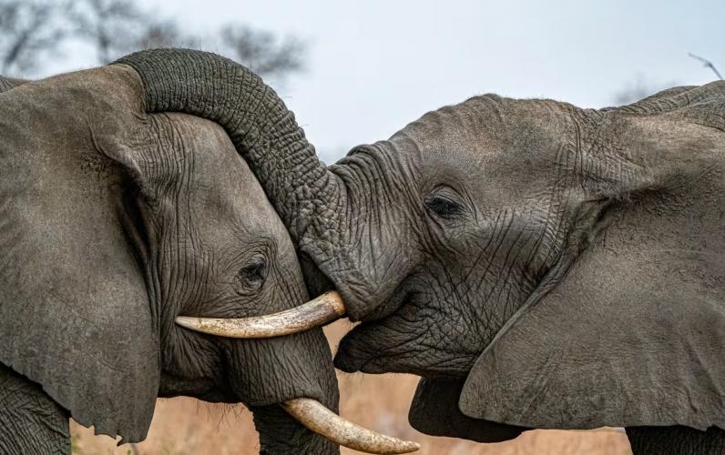 Discover South Africa&rsquo;s Iconic Garden Route