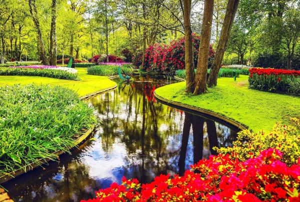 Spring Tulip River Cruise in the Netherlands