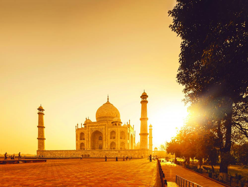 India's Golden Triangle & Ranthambore National Park