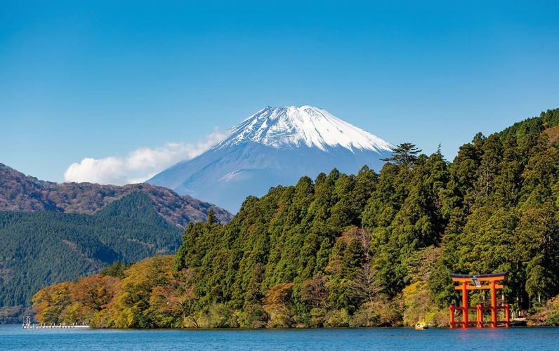 Essence of Japan