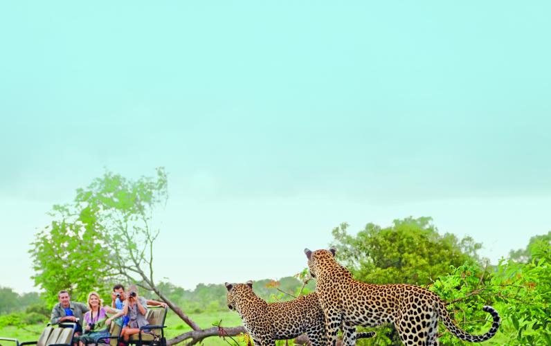 Sensational South Africa