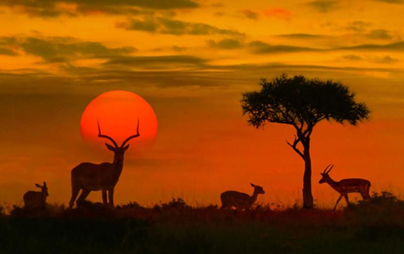 Sensational South Africa