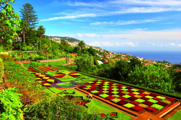 Madeira Escape &ndash; The Pearl of the Atlantic (Solo Tour)