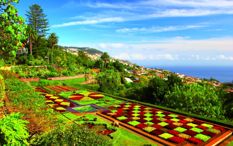 Madeira Escape &ndash; The Pearl of the Atlantic (Solo Tour)