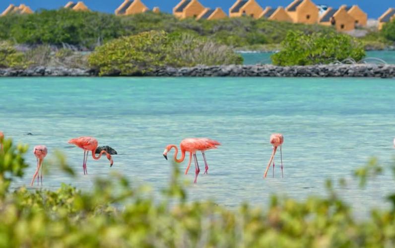 14 Nights of Caribbean Sunshine