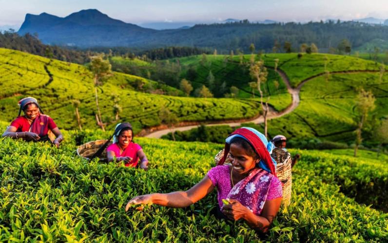 Sri Lanka: An Incredible Journey