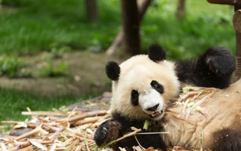 The Wonders of China with Wendy Wu Tours