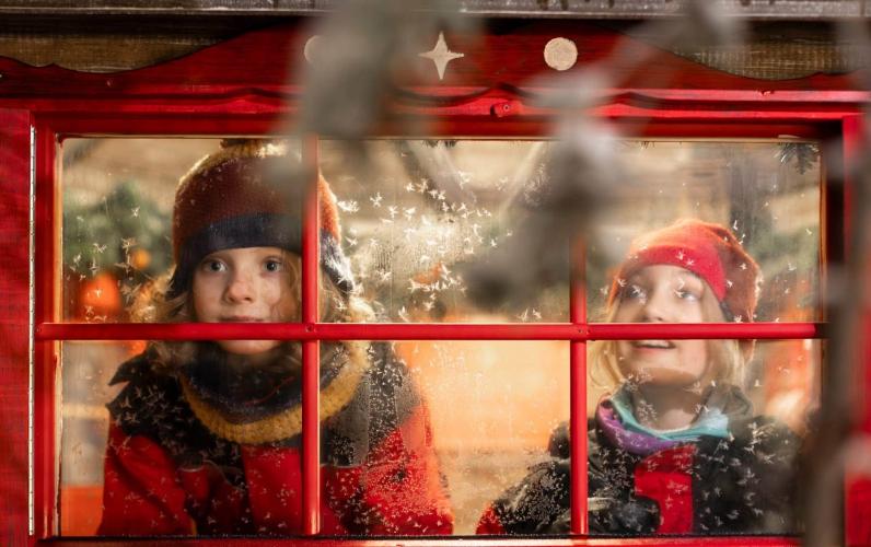 The Ultimate Christmas Adventure