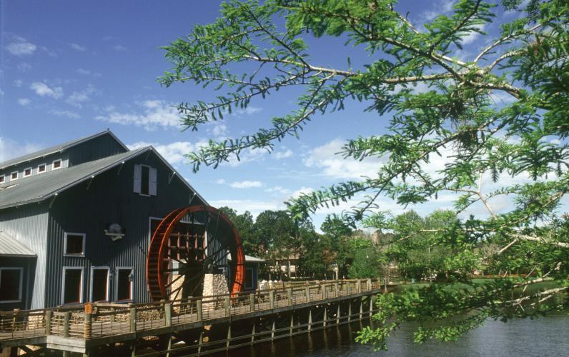 Orlando: Disney's Port Orleans Resort w/14 Day Magic Ticket