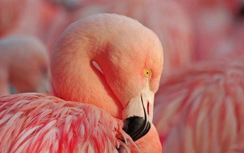16-Day Ecuador & Galapagos Adventure - 2027 Early Booking Offer
